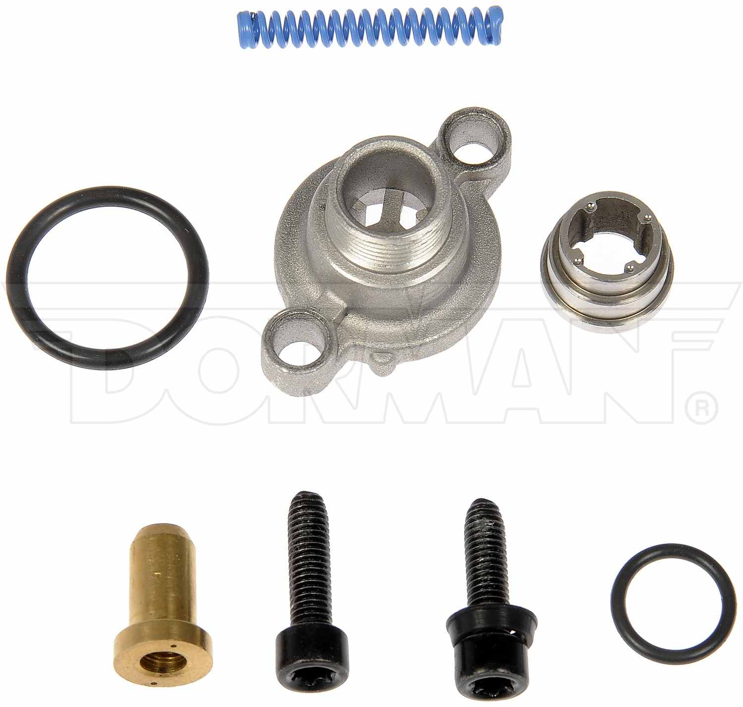 Dorman - OE Solutions FUEL PRESSURE REGULATOR 904-458