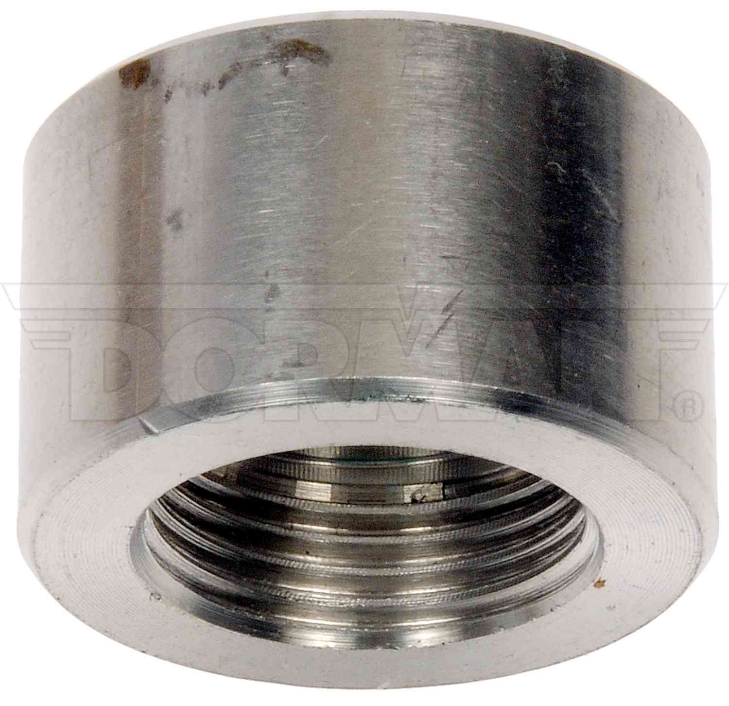 Dorman NOx Bung Repair