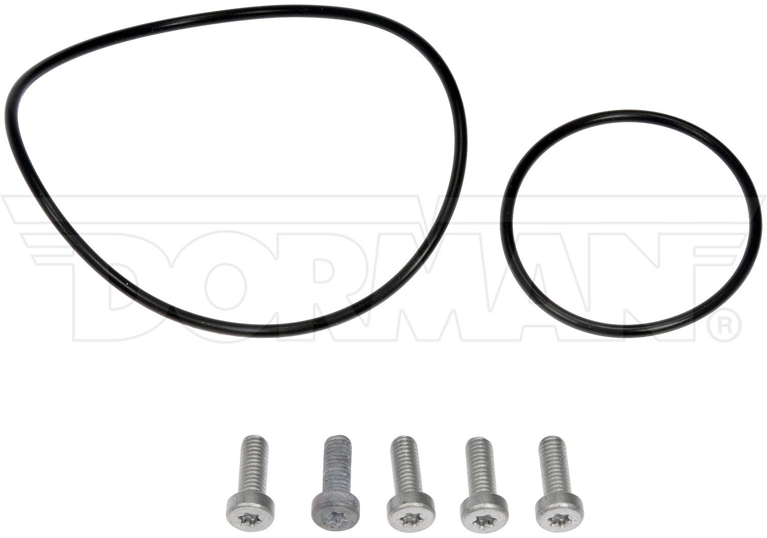 Dorman - OE Solutions Vacuum Pump Repair Kit for 2010-2012 BMW 917-146