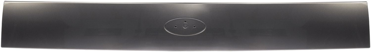 Dorman Ford Rear Hatch Panel Clearcoat MetallicGray