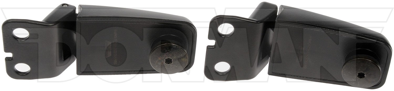 Dorman Tailgate Glass Hinge
