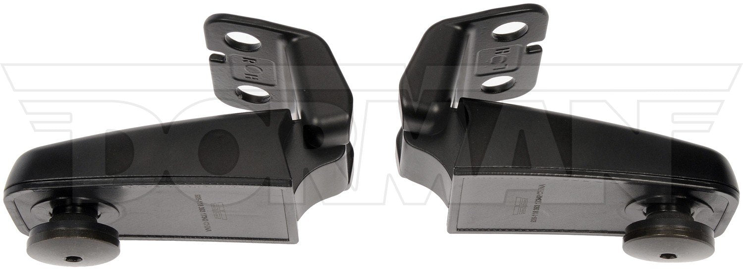 Dorman Tailgate Glass Hinge