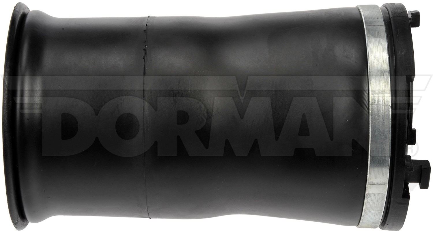 Dorman Active Air Suspension Springs
