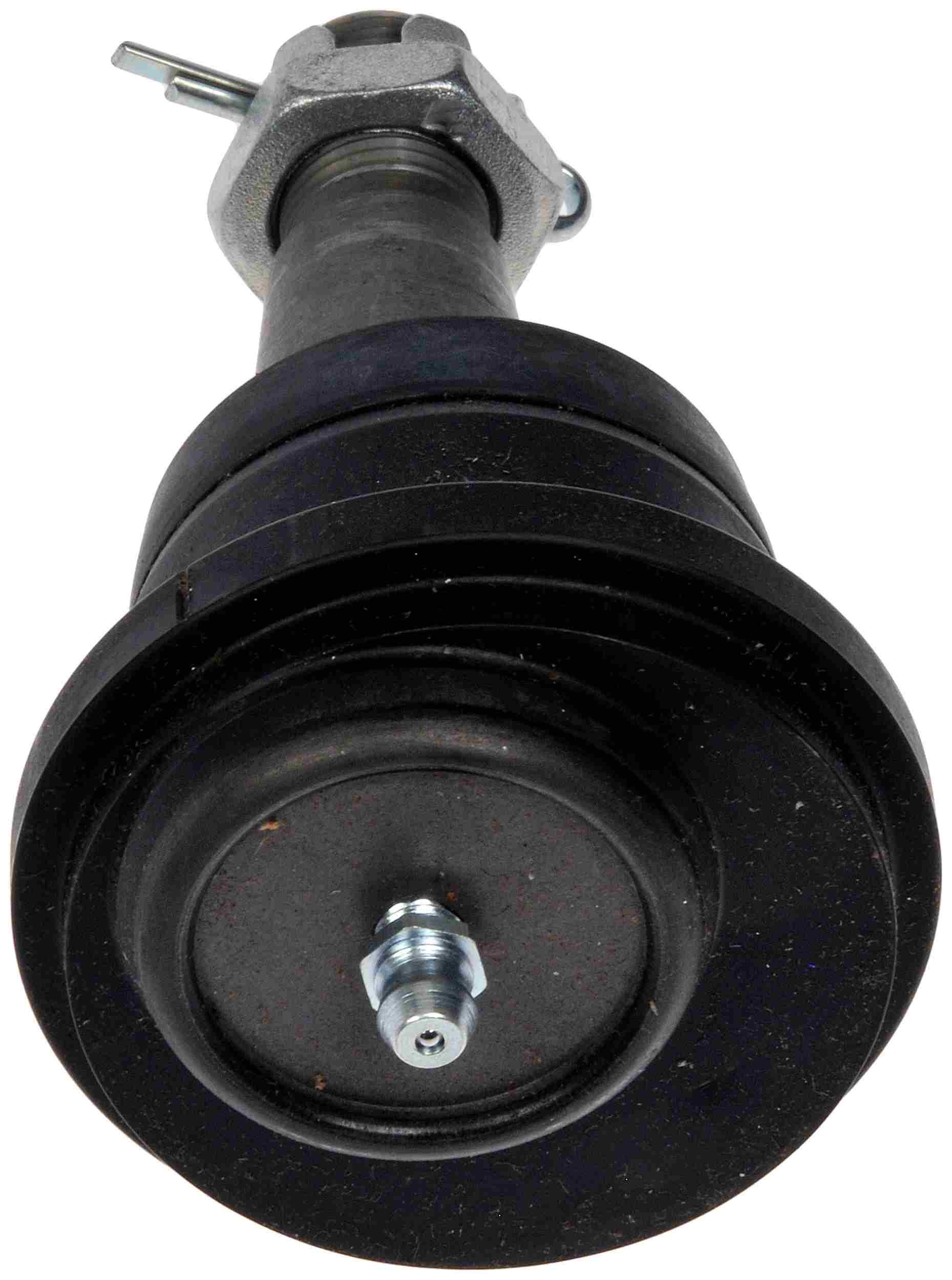 Dorman - Premium CASTER CAMBER BALL JOINT BJ811145PR