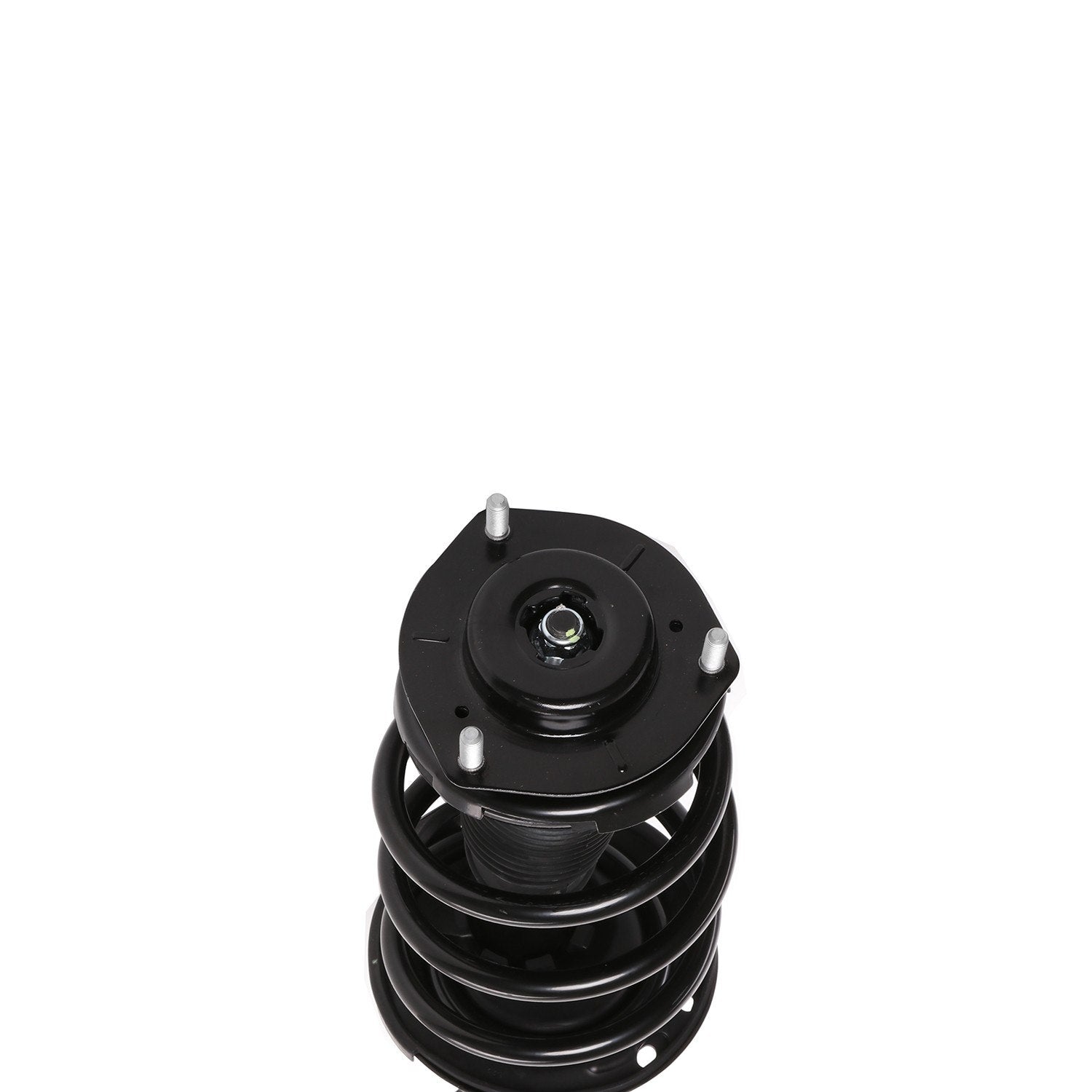 PRT Suspension Strut and Coil Spring Assembly 810415