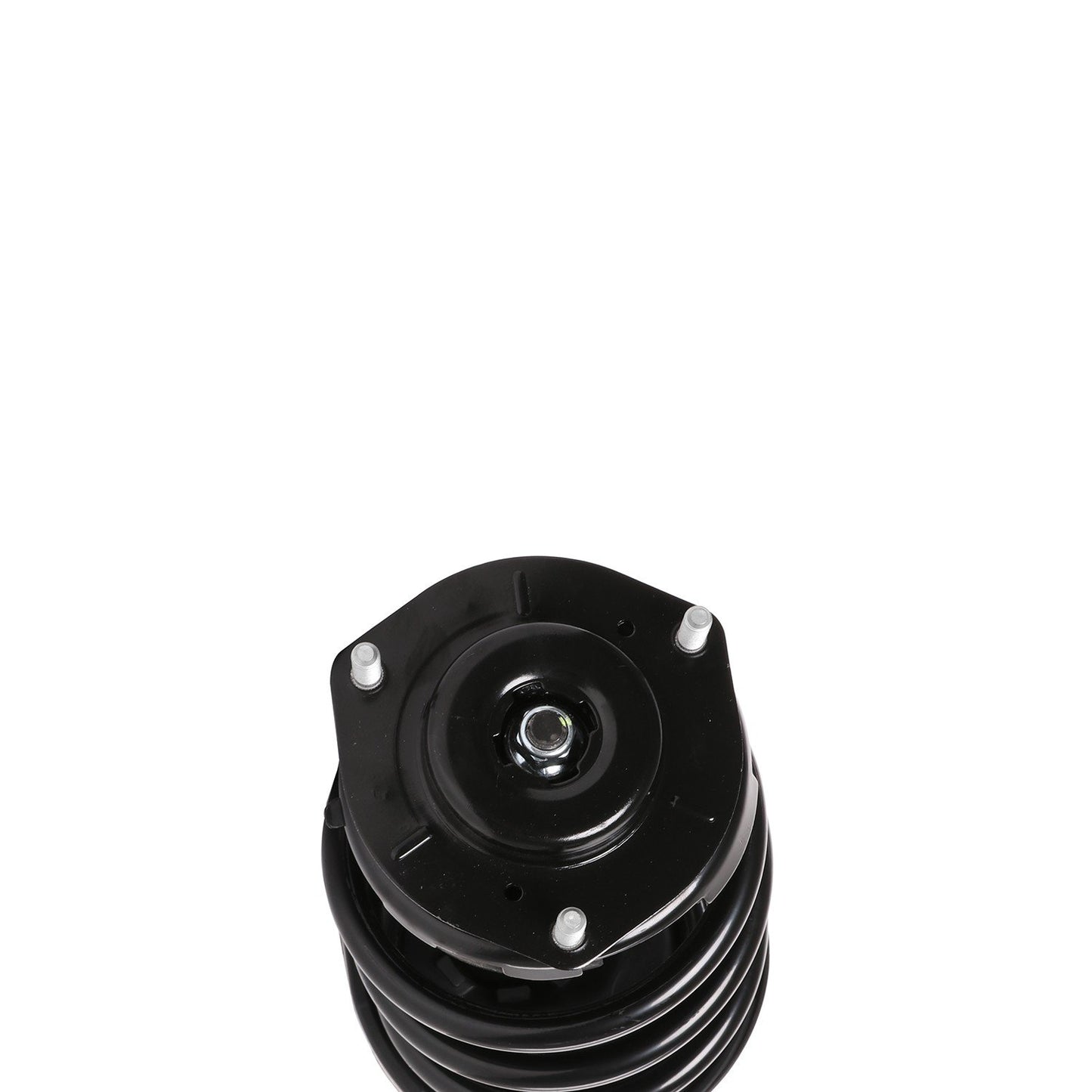 PRT Suspension Strut and Coil Spring Assembly 810416