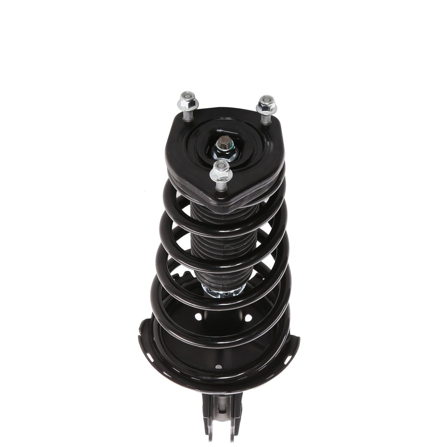 PRT Suspension Strut and Coil Spring Assembly 810425