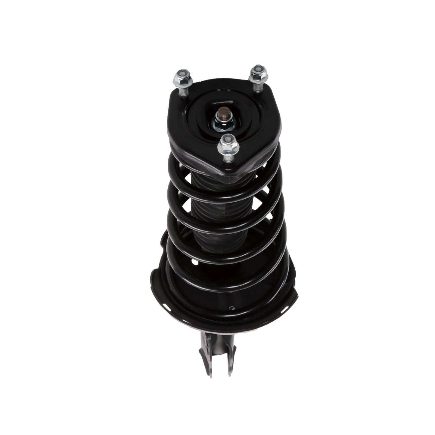 PRT Suspension Strut and Coil Spring Assembly 810496