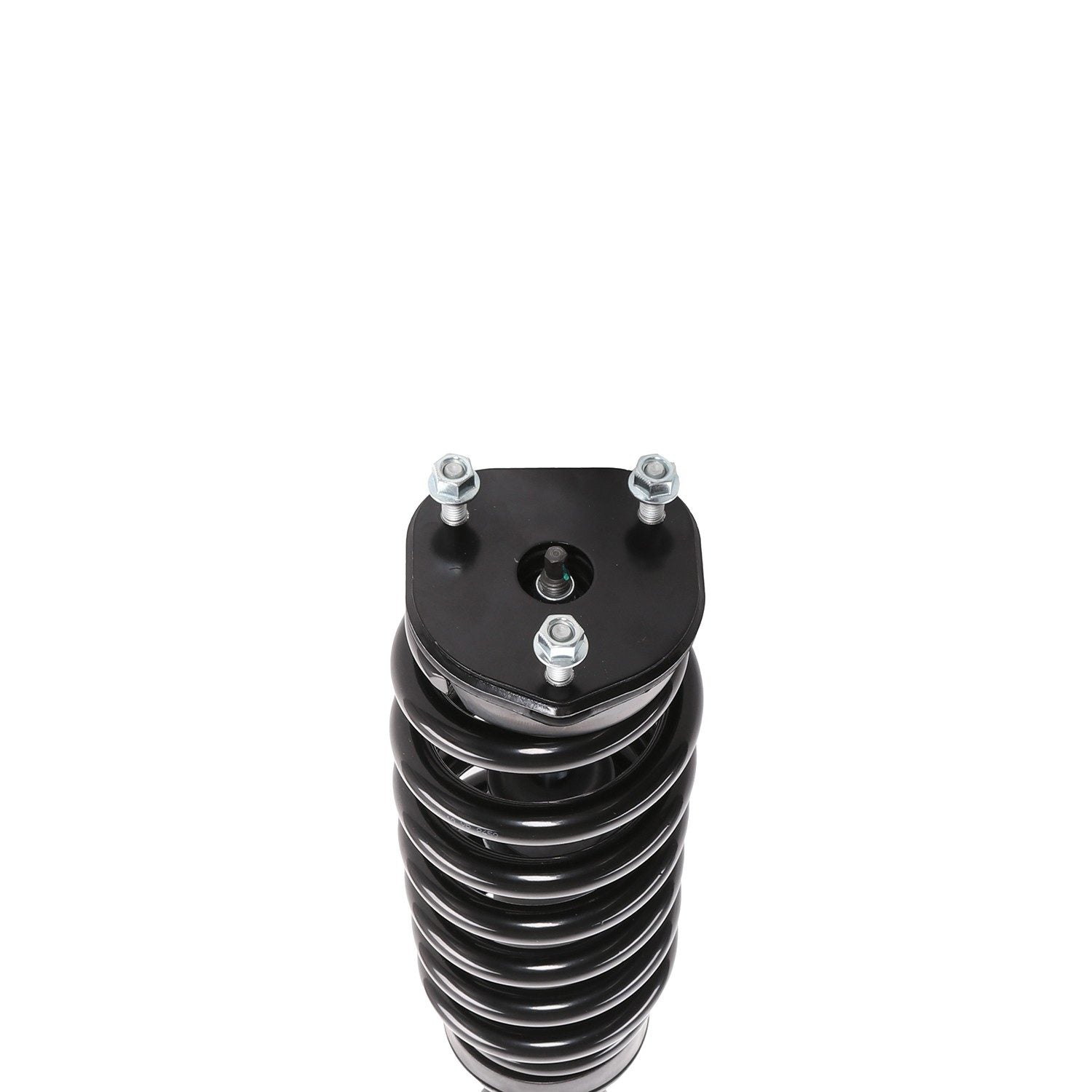 PRT Suspension Strut and Coil Spring Assembly 815013