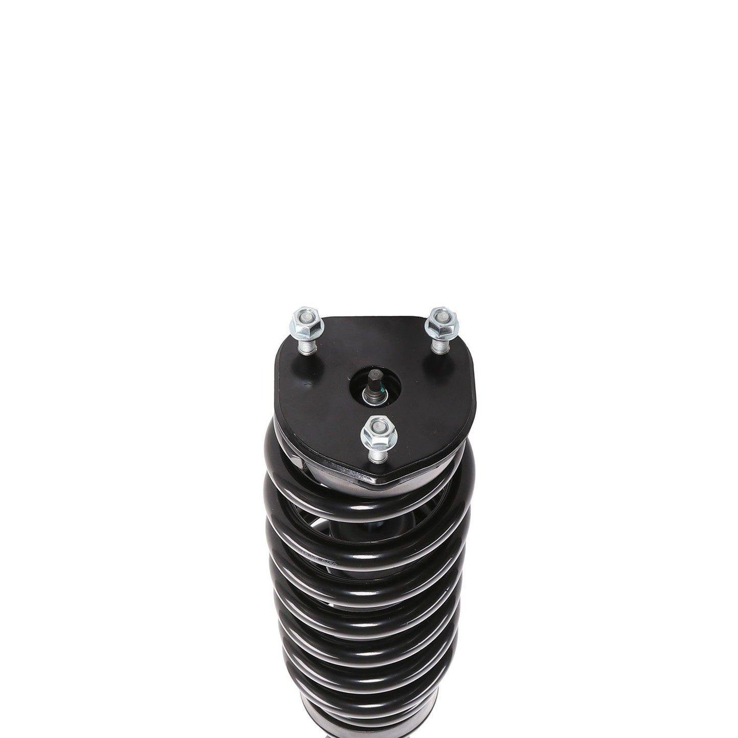 PRT Suspension Strut and Coil Spring Assembly 815013