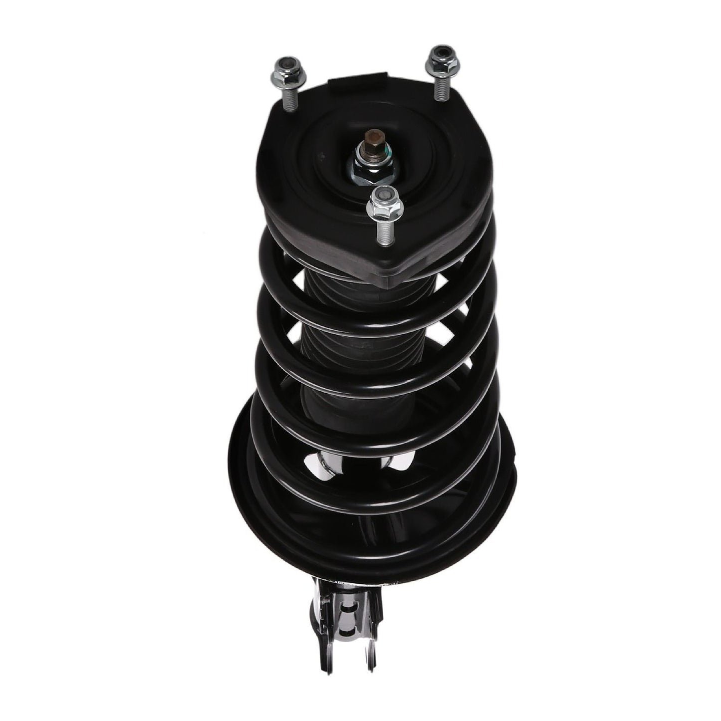 PRT Suspension Strut and Coil Spring Assembly 815030