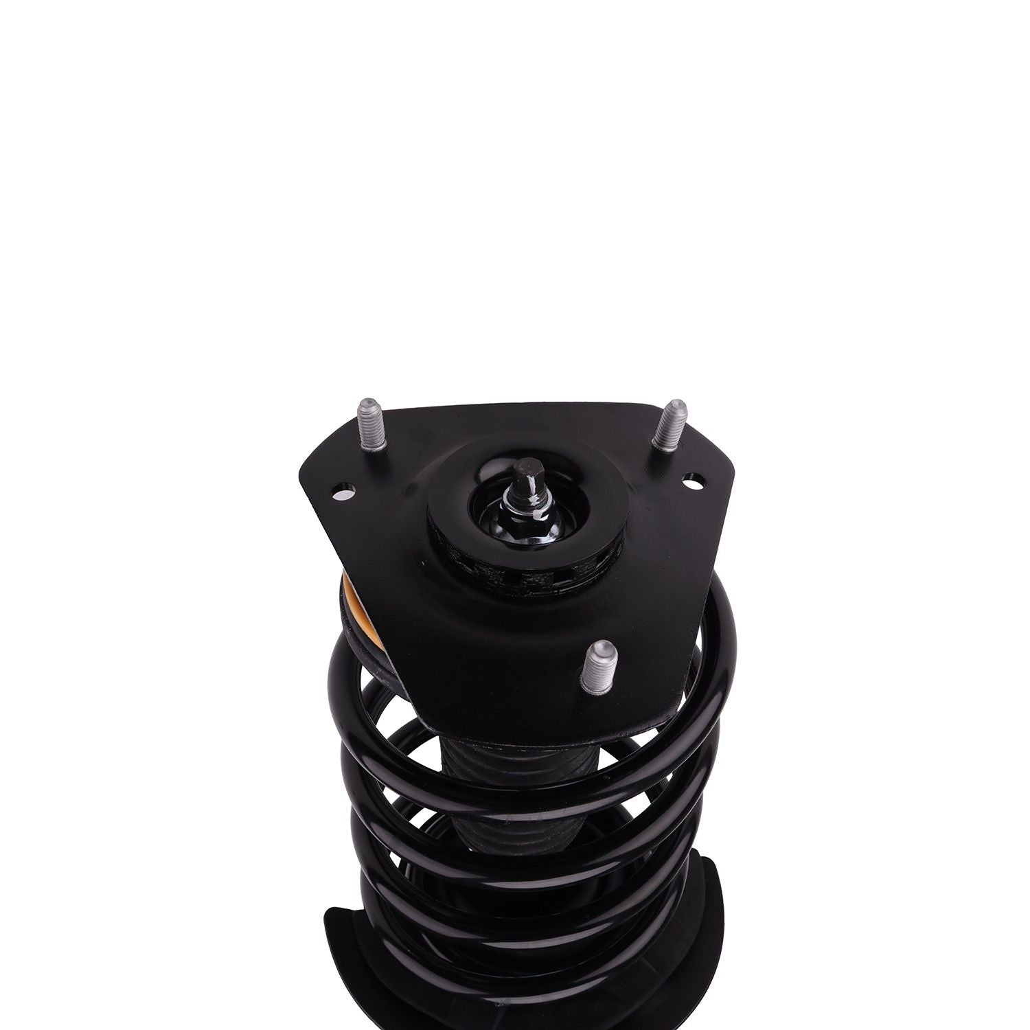 PRT Suspension Strut and Coil Spring Assembly 815365