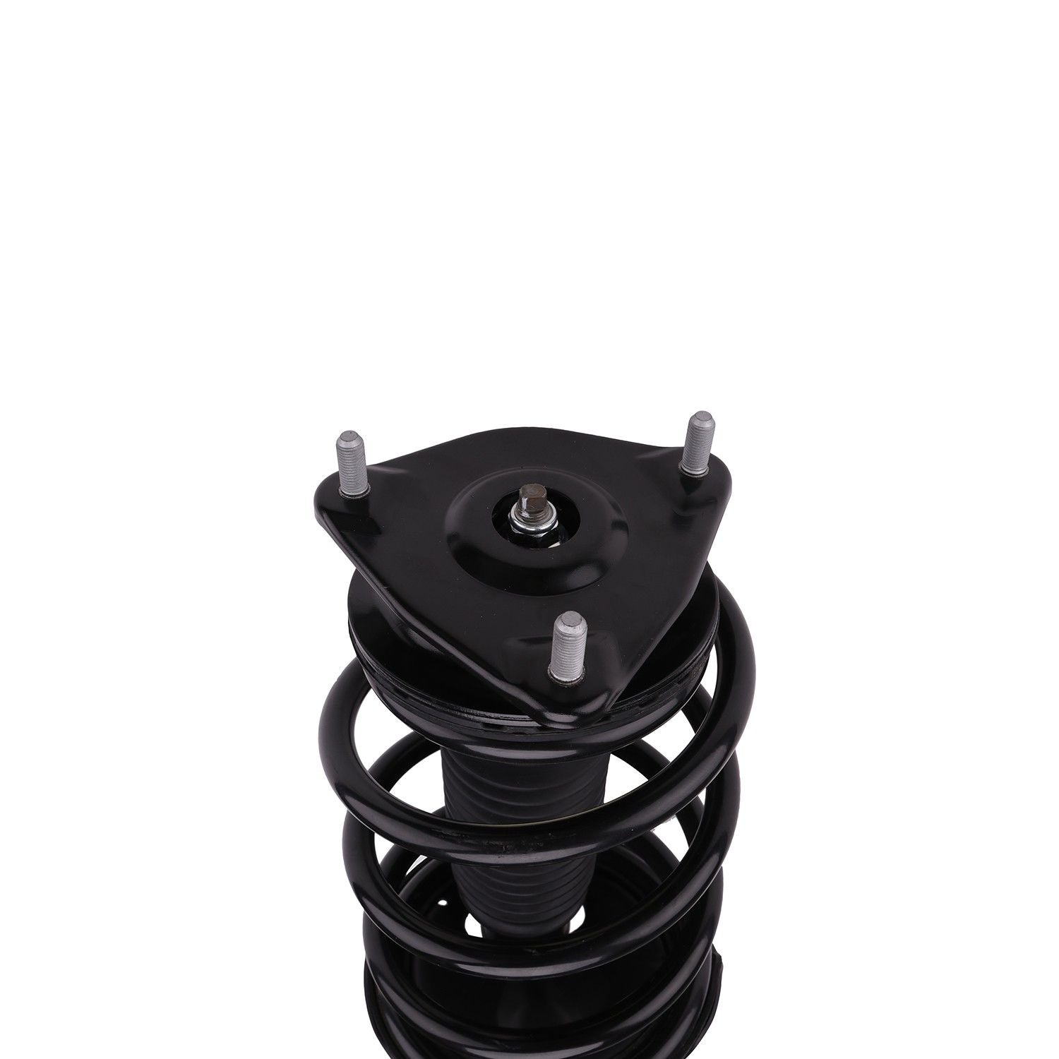 PRT Suspension Strut and Coil Spring Assembly 815913