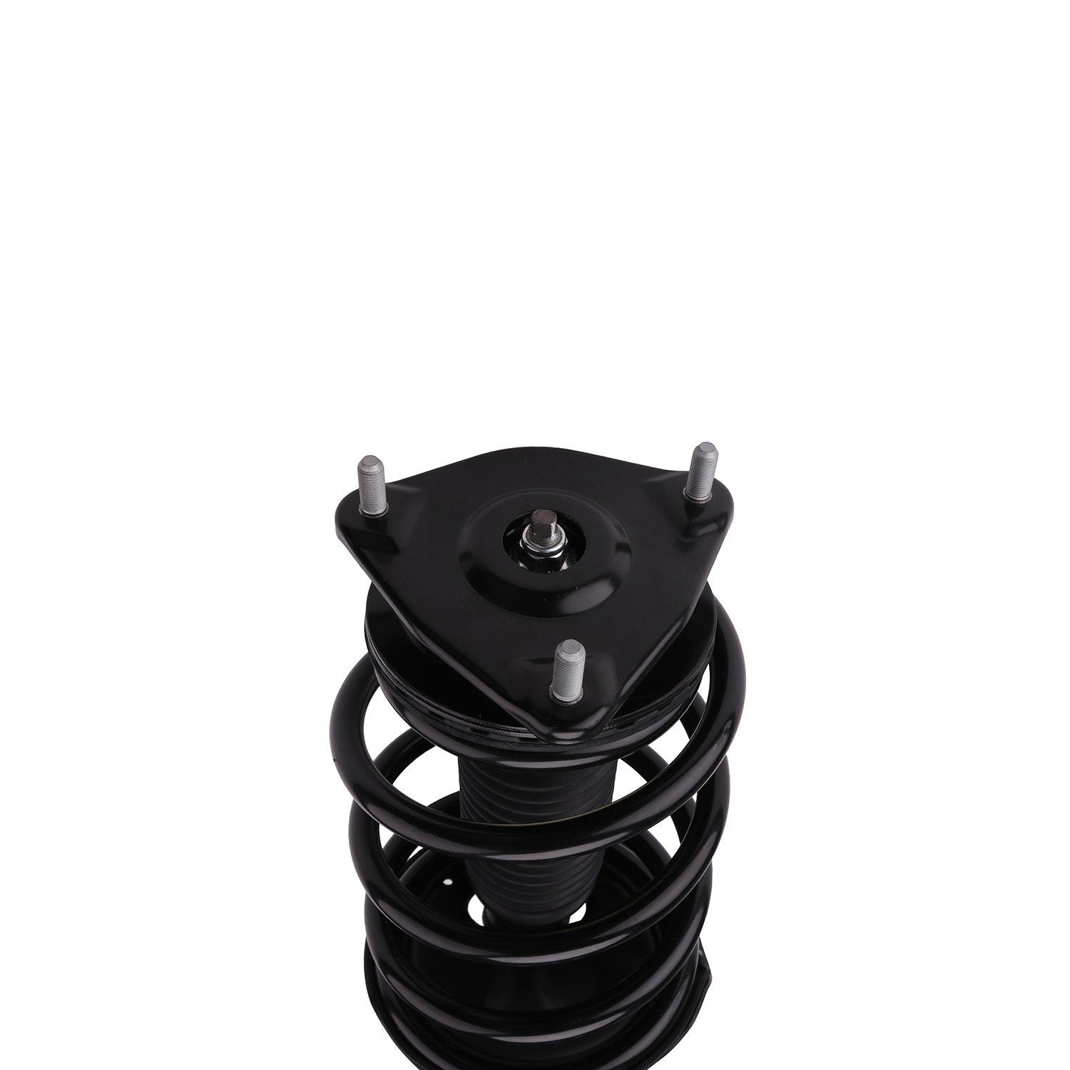 PRT Suspension Strut and Coil Spring Assembly 815914