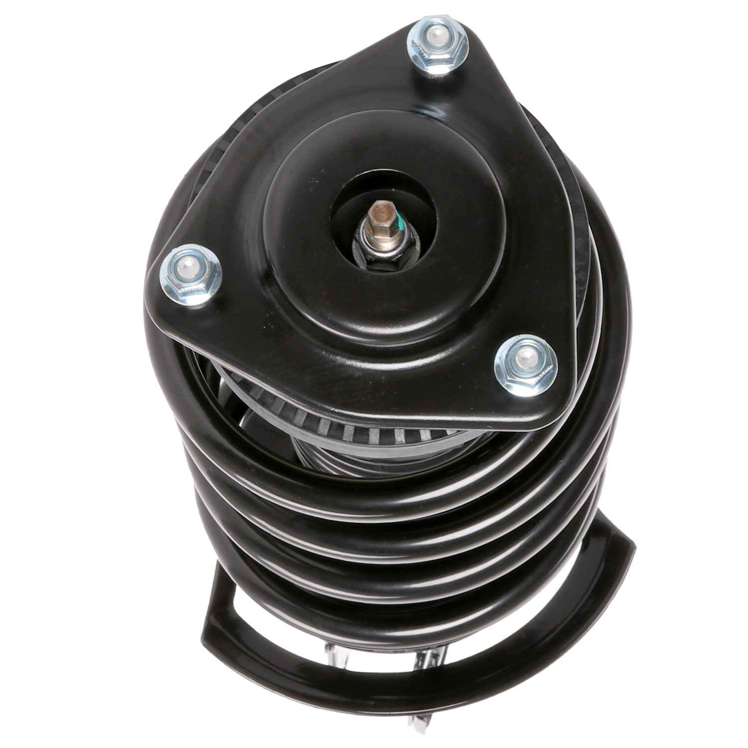 PRT Suspension Strut and Coil Spring Assembly 815967
