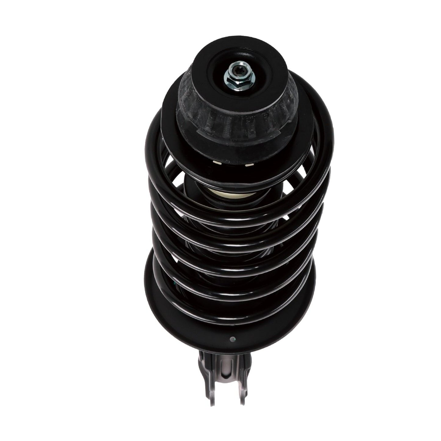 PRT Suspension Strut and Coil Spring Assembly 816469