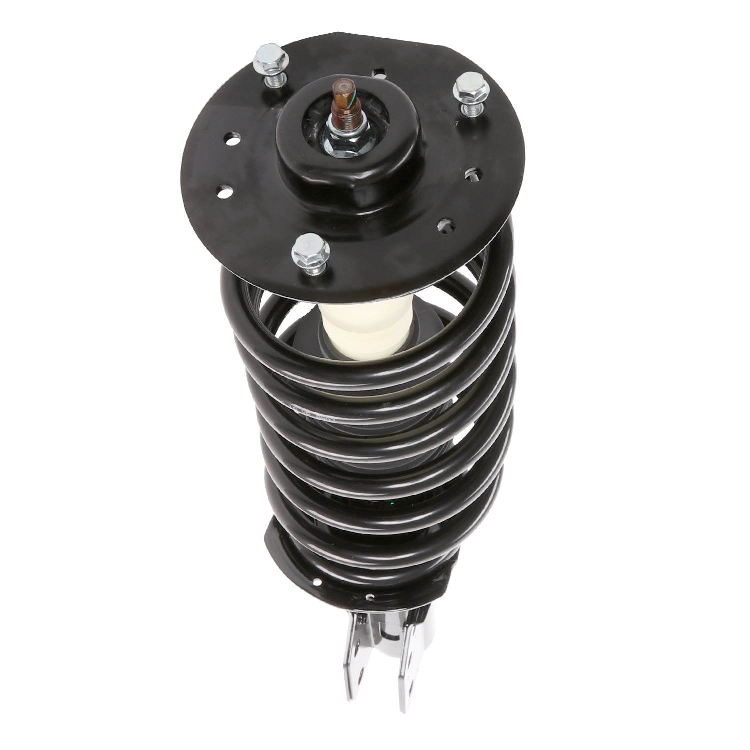 PRT Suspension Strut and Coil Spring Assembly 816551