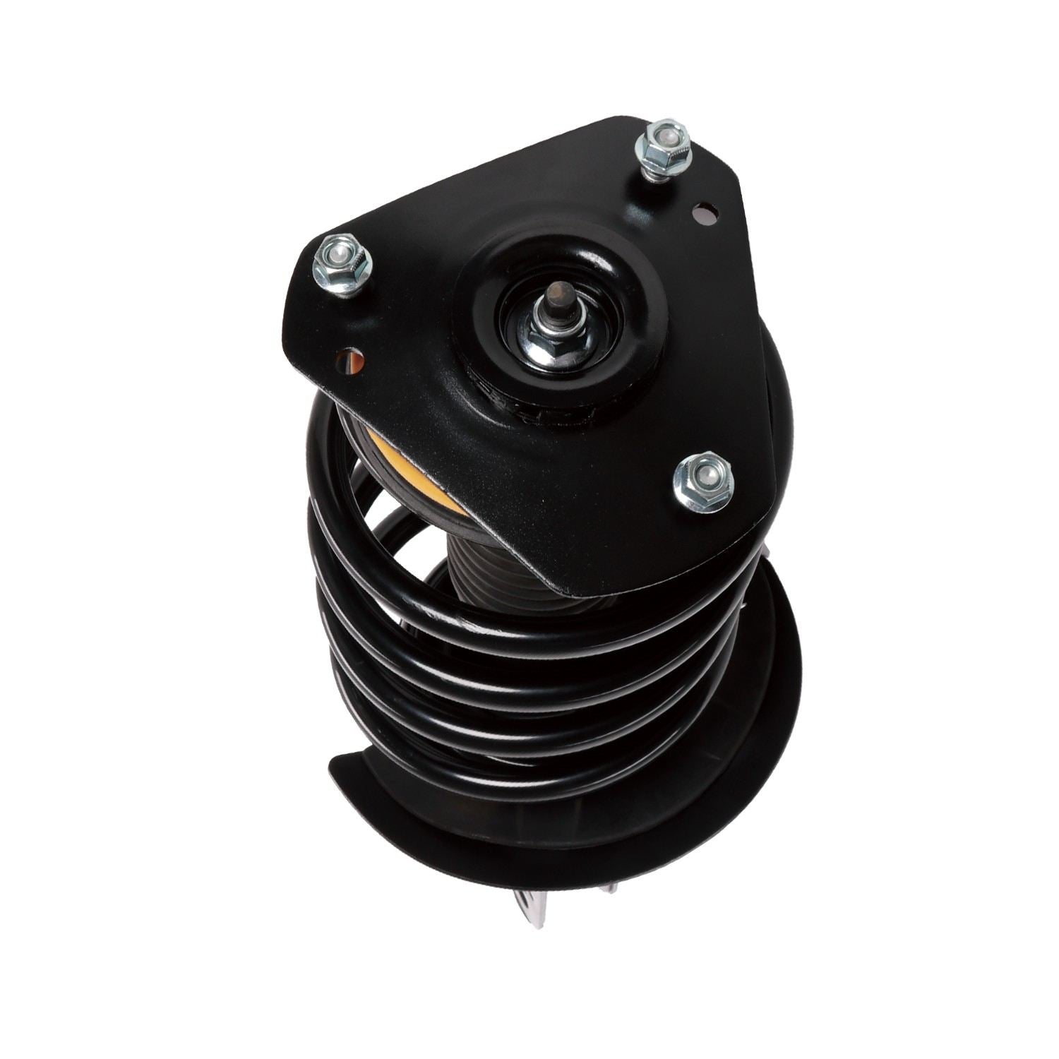 PRT Suspension Strut and Coil Spring Assembly 816639