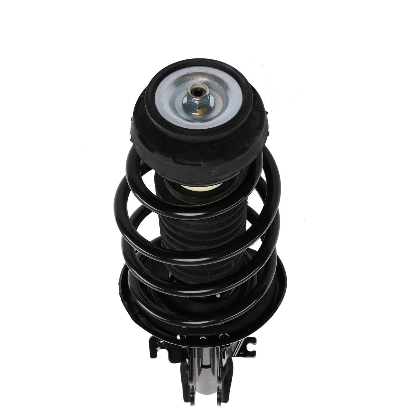 PRT Suspension Strut and Coil Spring Assembly 817031