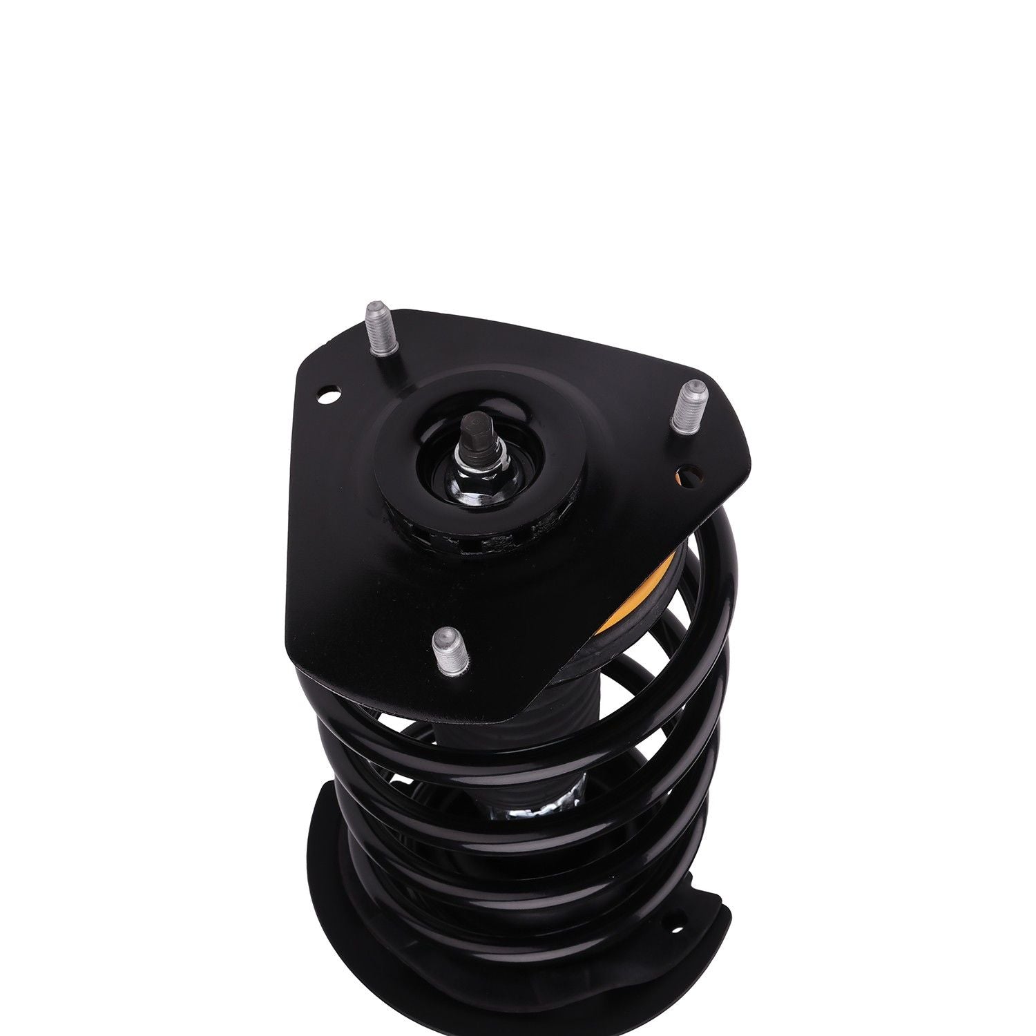 PRT Suspension Strut and Coil Spring Assembly 817037