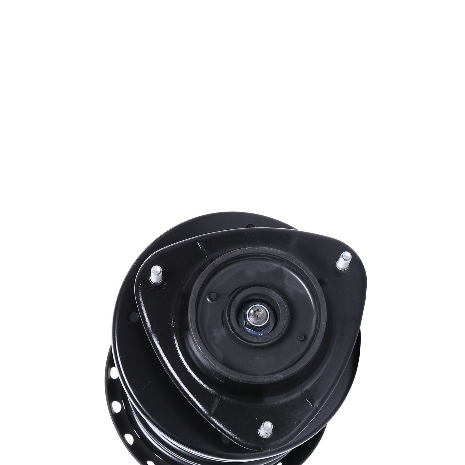 PRT Suspension Strut and Coil Spring Assembly 817131