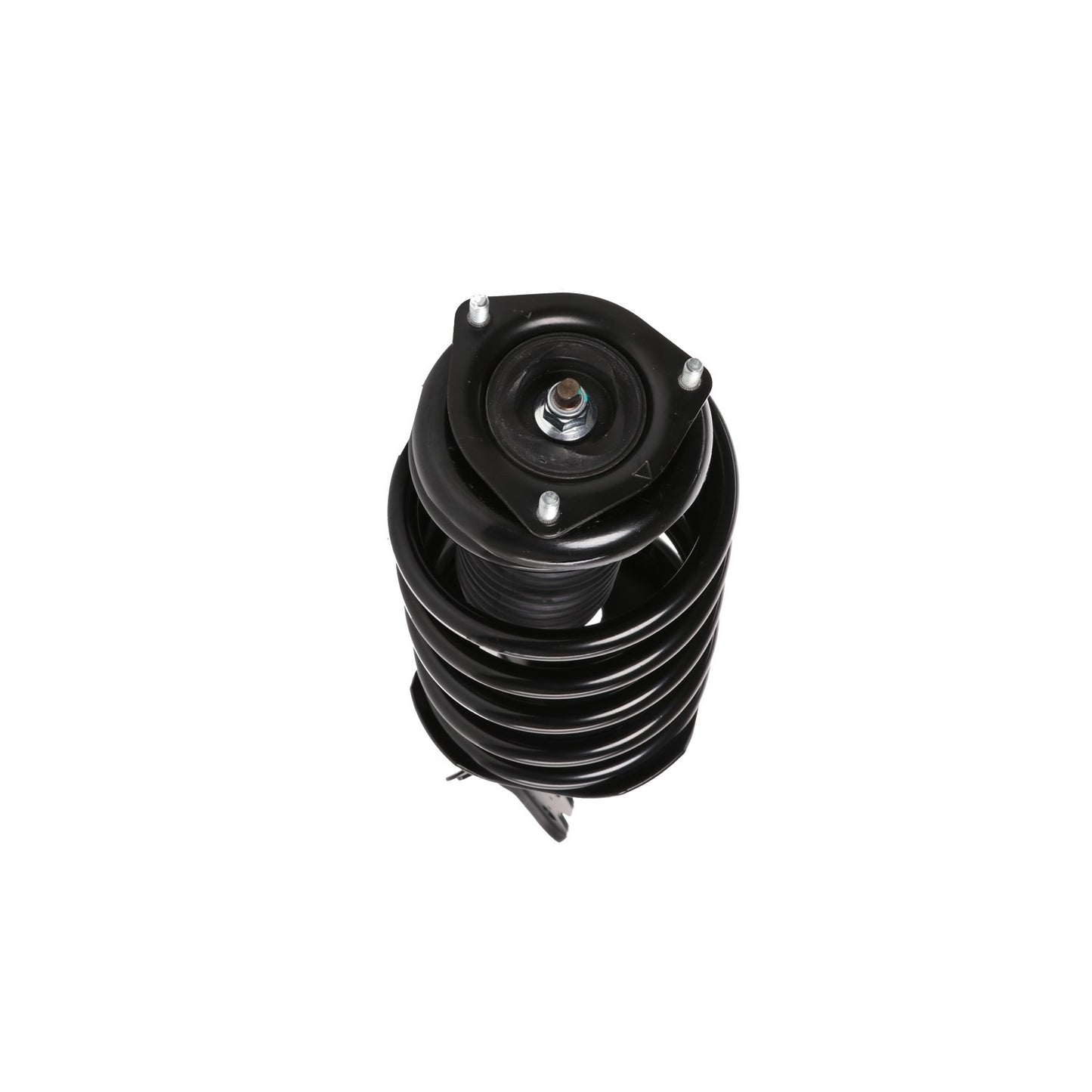 PRT Suspension Strut and Coil Spring Assembly 817245