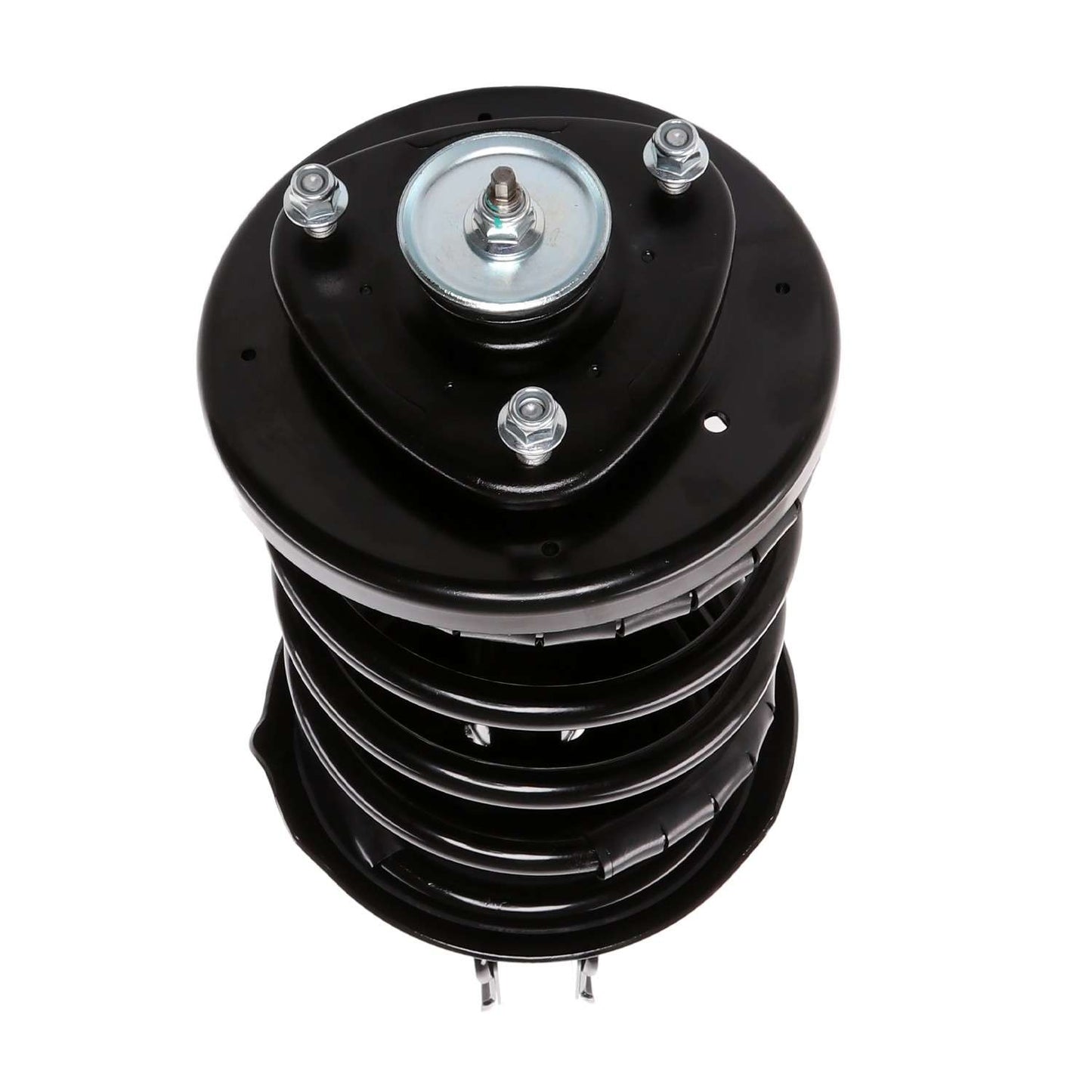PRT Suspension Strut and Coil Spring Assembly 817248