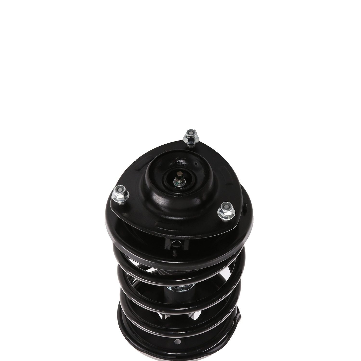 PRT Suspension Strut and Coil Spring Assembly 818183