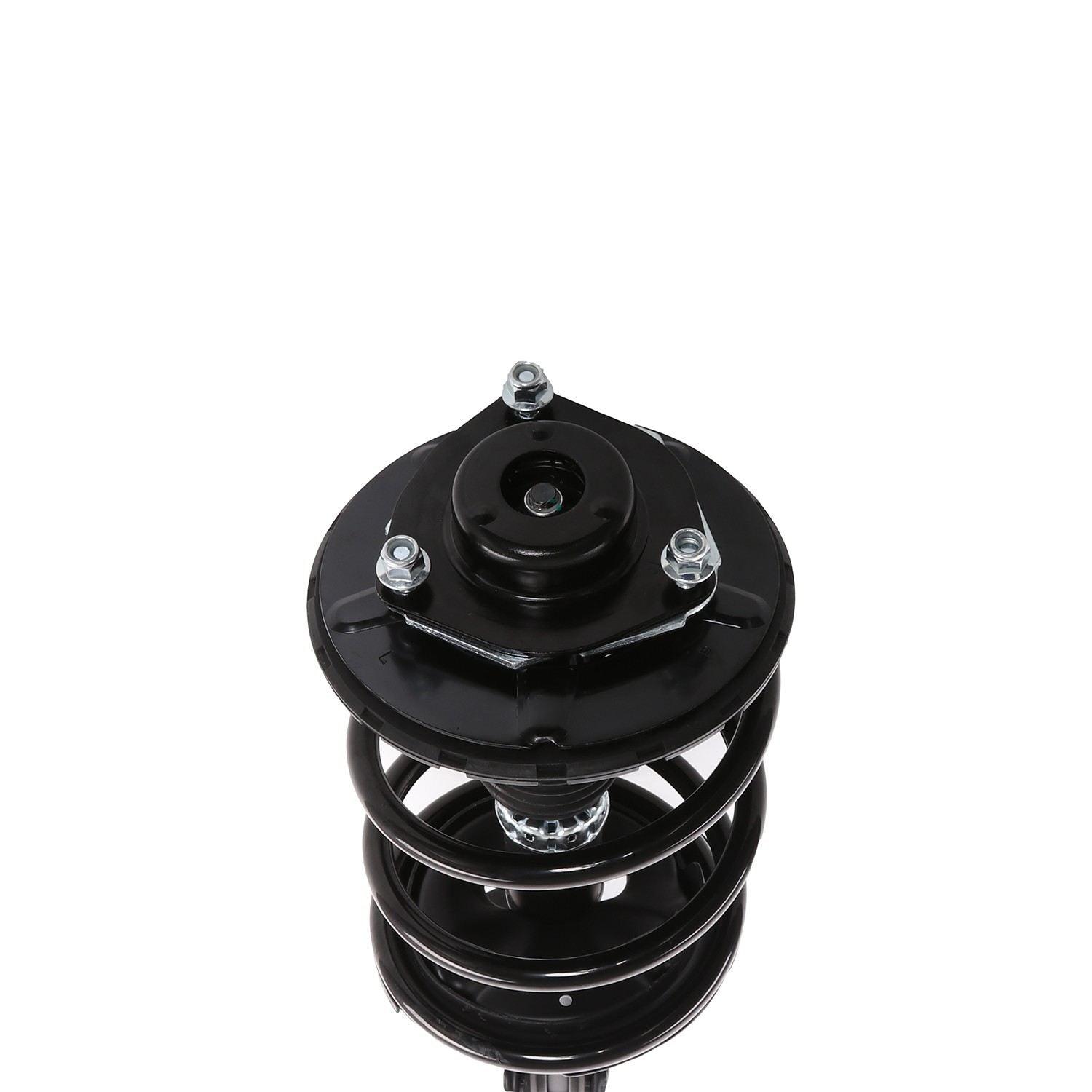 PRT Suspension Strut and Coil Spring Assembly 818320