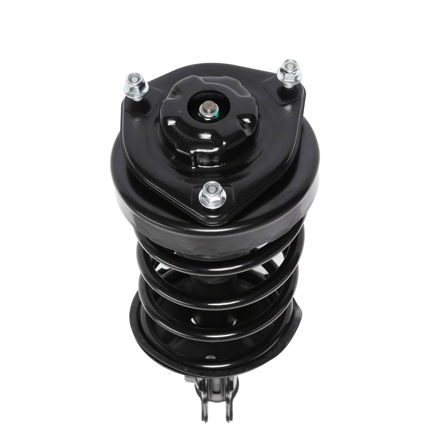 PRT Suspension Strut and Coil Spring Assembly 818329