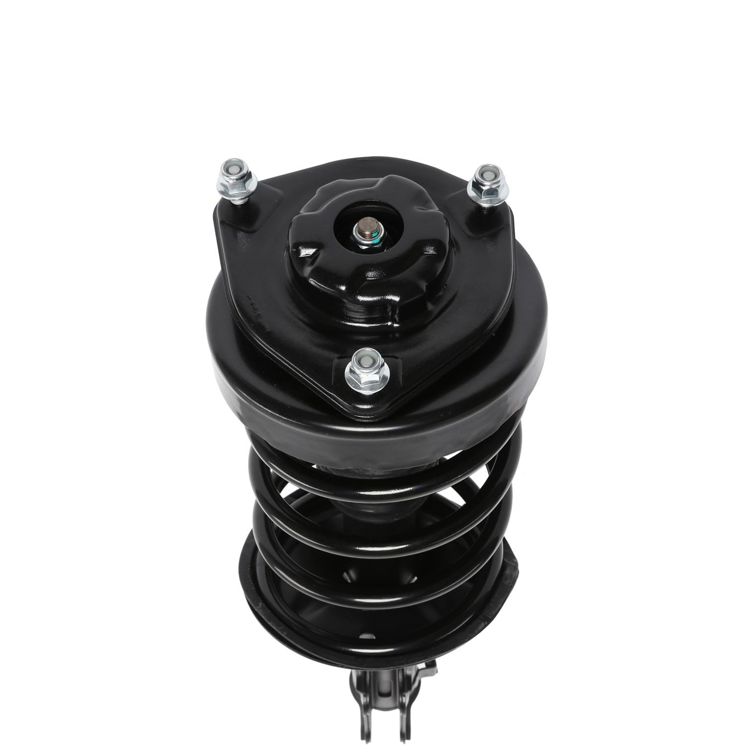 PRT Suspension Strut and Coil Spring Assembly 818330