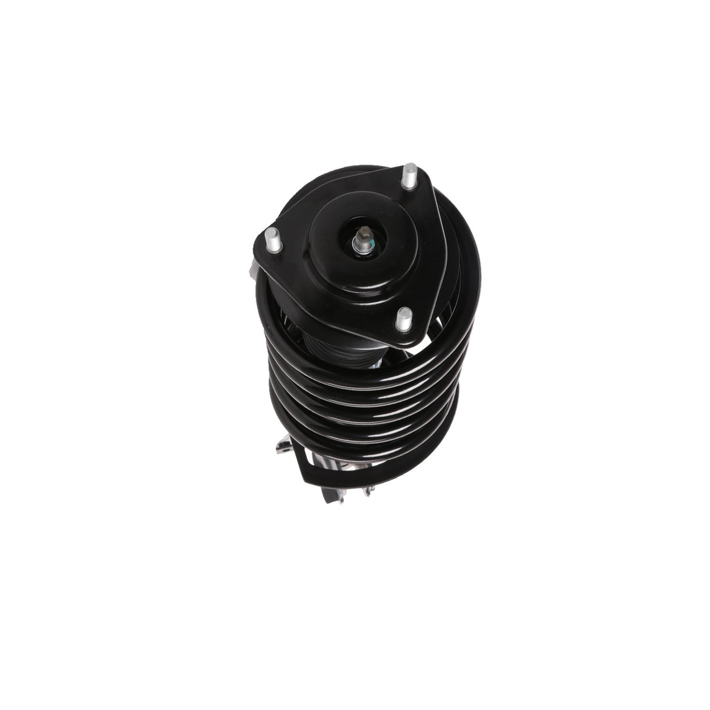 PRT Suspension Strut and Coil Spring Assembly 818628