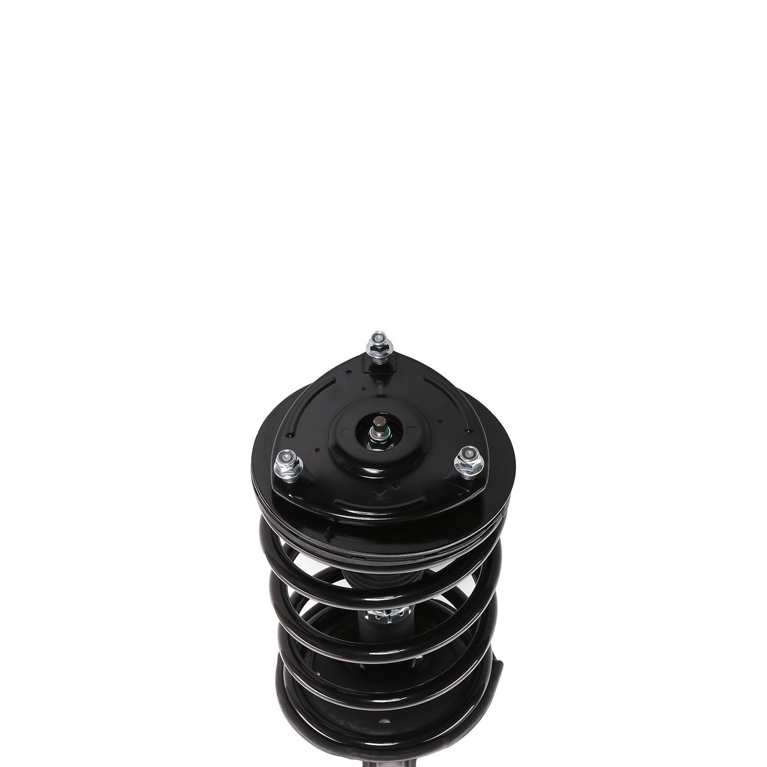 PRT Suspension Strut and Coil Spring Assembly 818914