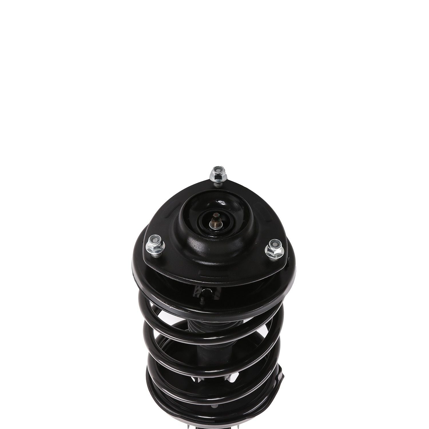 PRT Suspension Strut and Coil Spring Assembly 818940