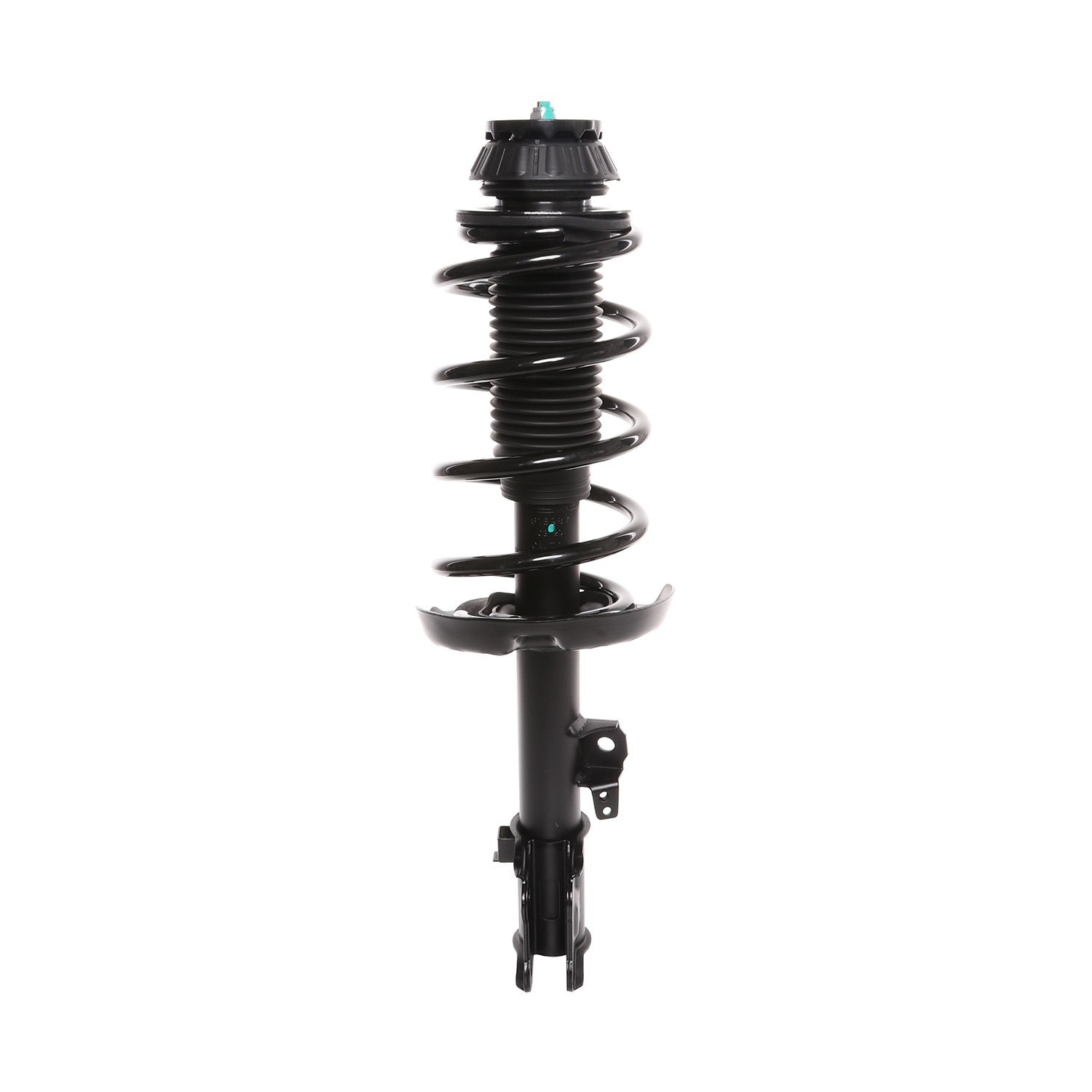 PRT Suspension Strut and Coil Spring Assembly 818987