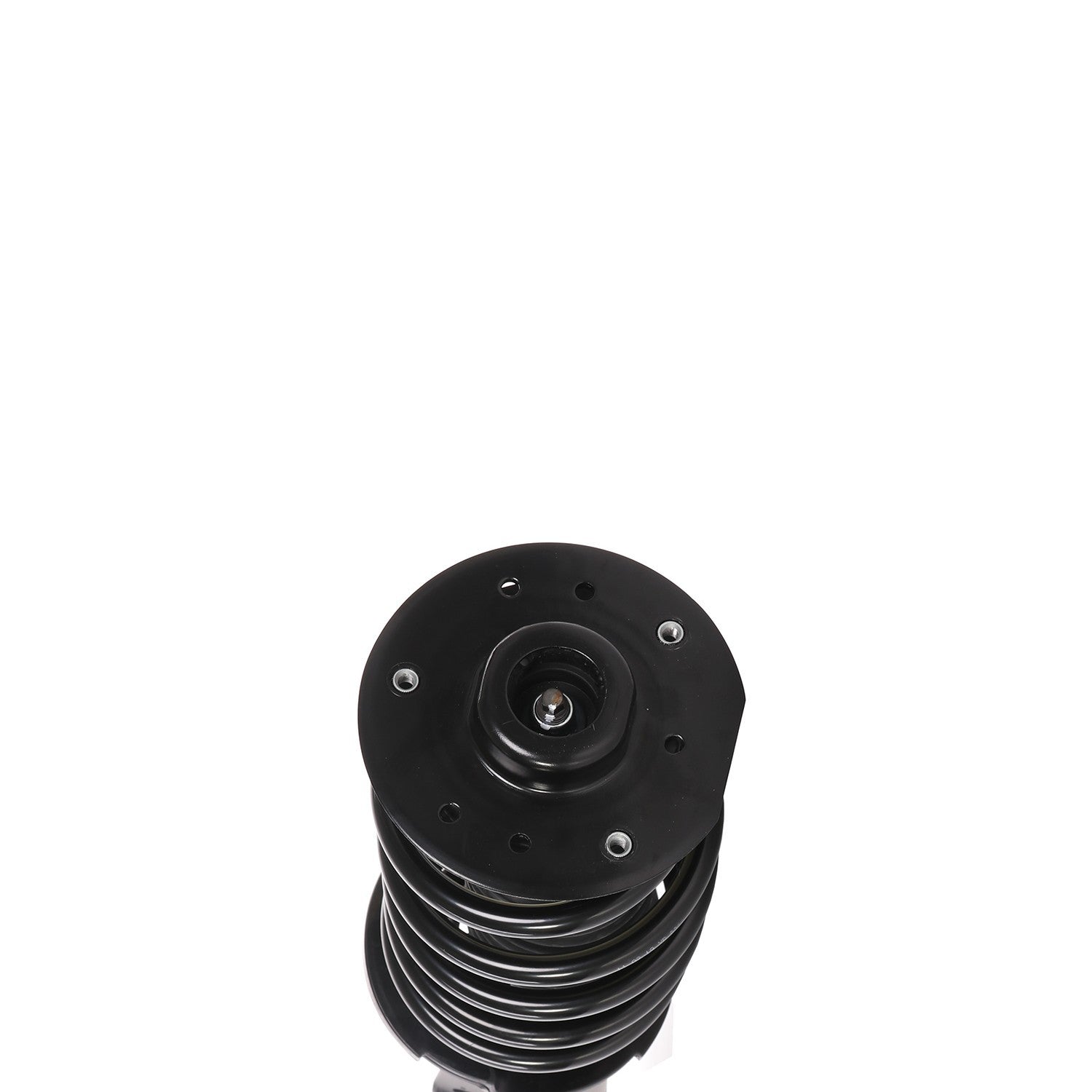 PRT Suspension Strut and Coil Spring Assembly 819570