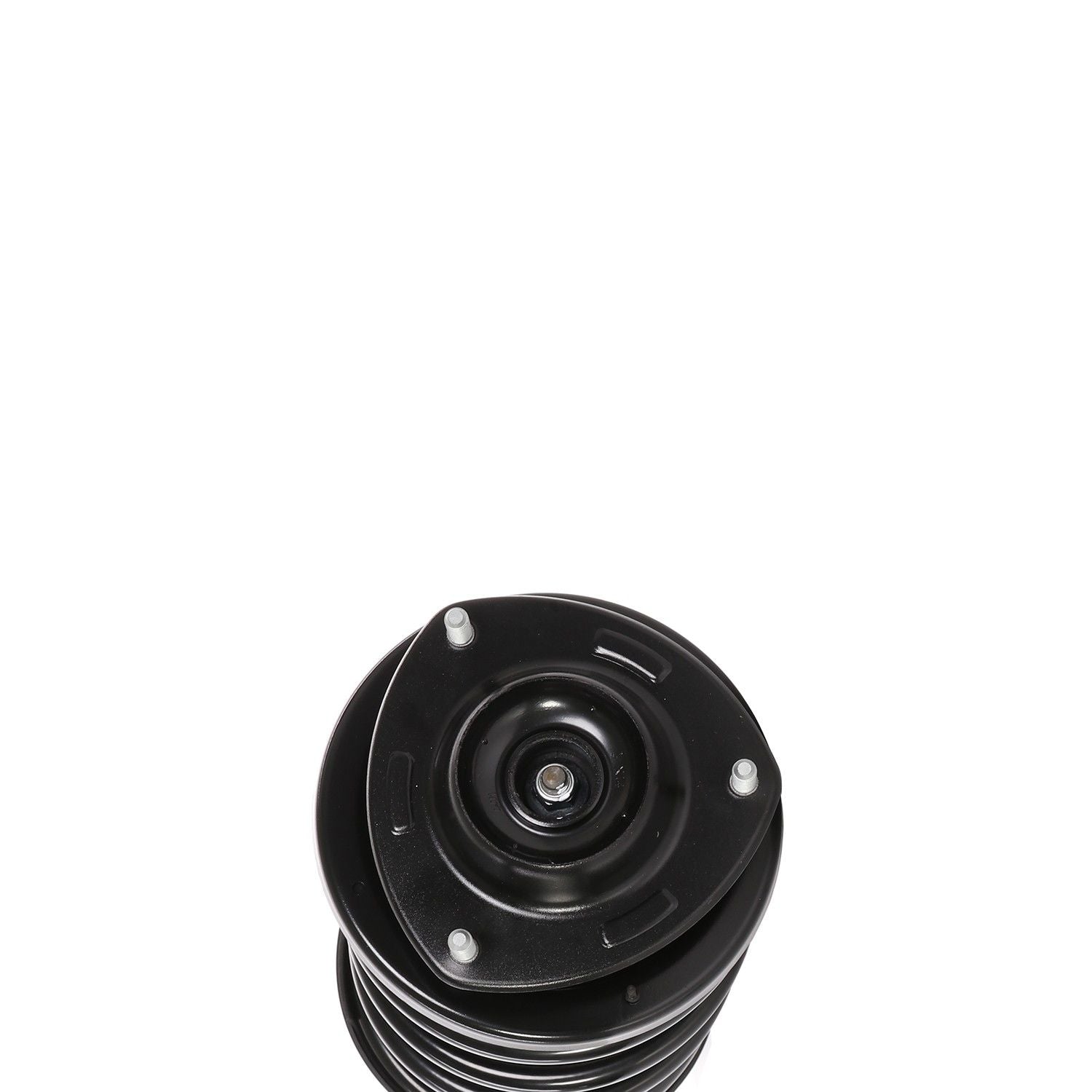 PRT Suspension Strut and Coil Spring Assembly 819575