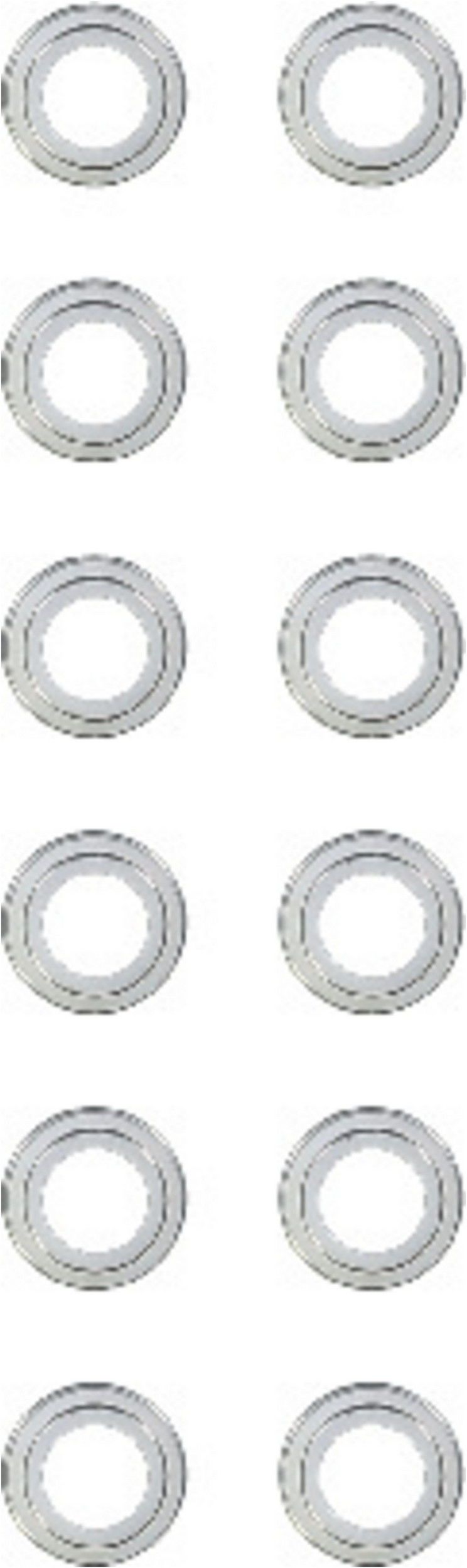 Victor Reinz Victor Reinz 12-23062-02 12-23062-02