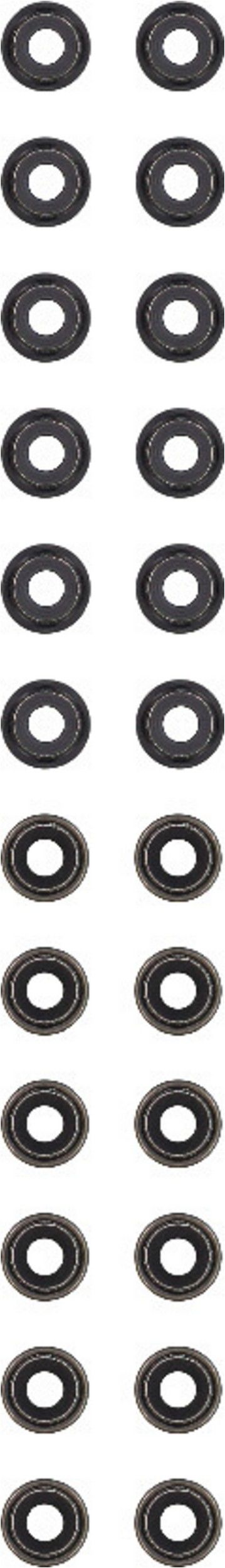 Victor Reinz Victor Reinz 12-53573-01 12-53573-01