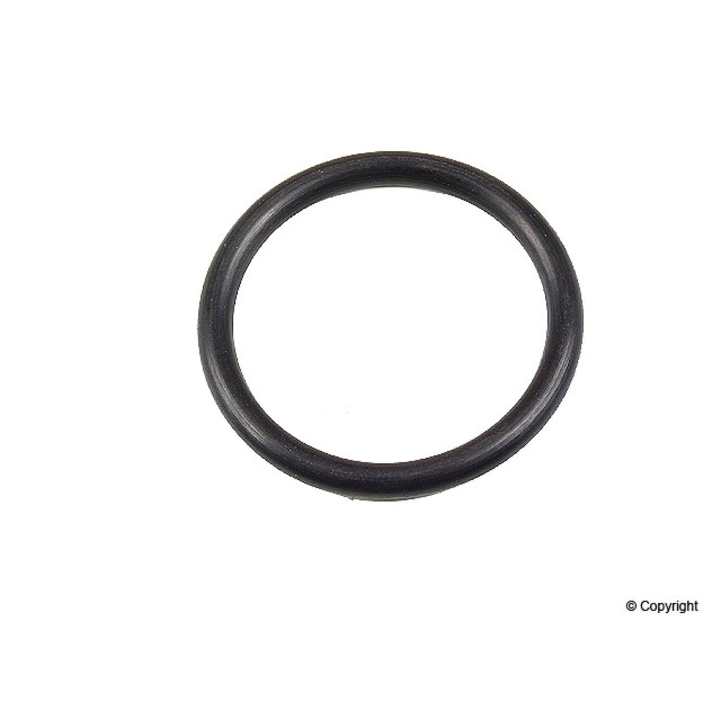 Victor Reinz Fuel Pump O-Ring