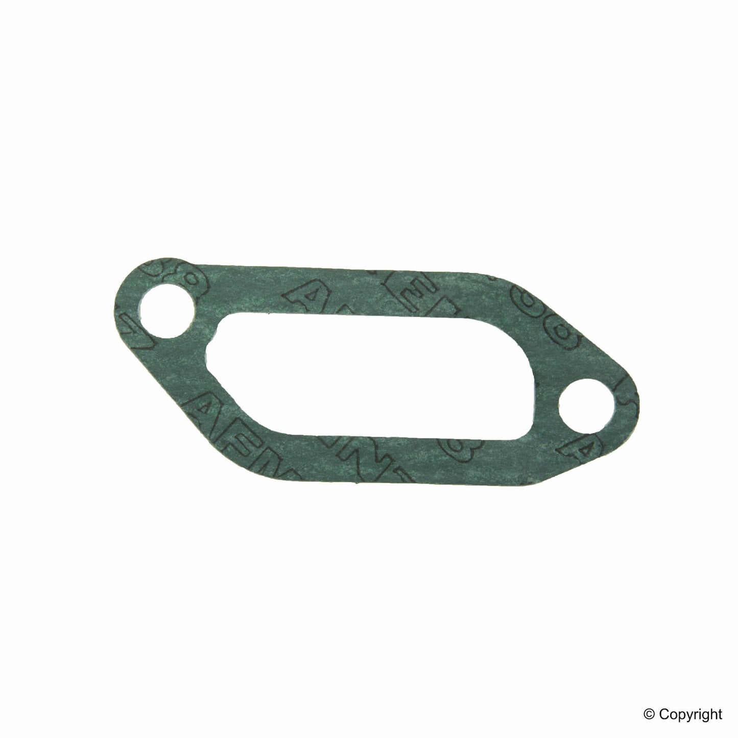Reinz 70-25243-10