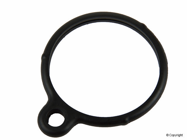 Reinz 70-25548-00