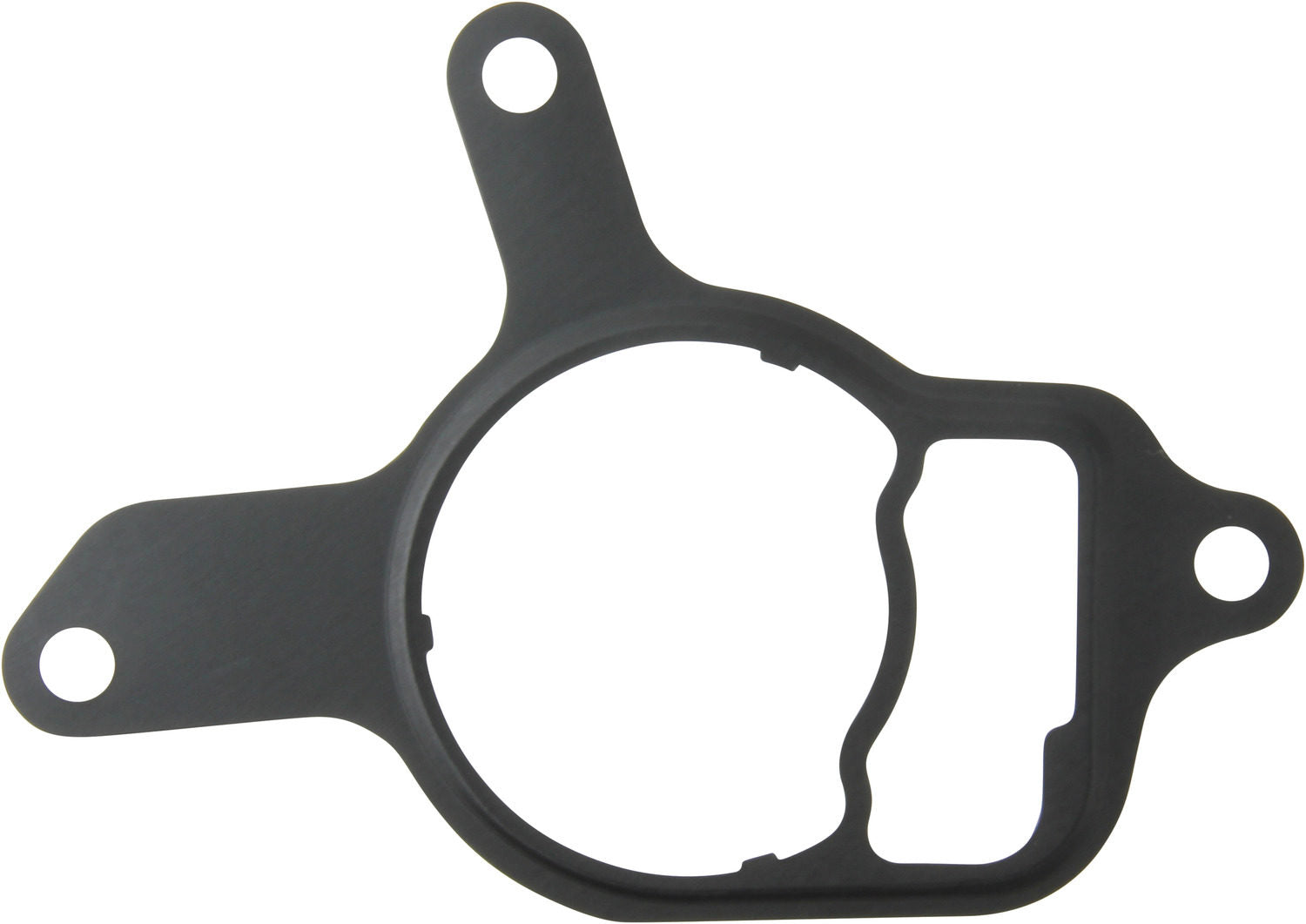 Victor Reinz Vacuum Pump Gasket