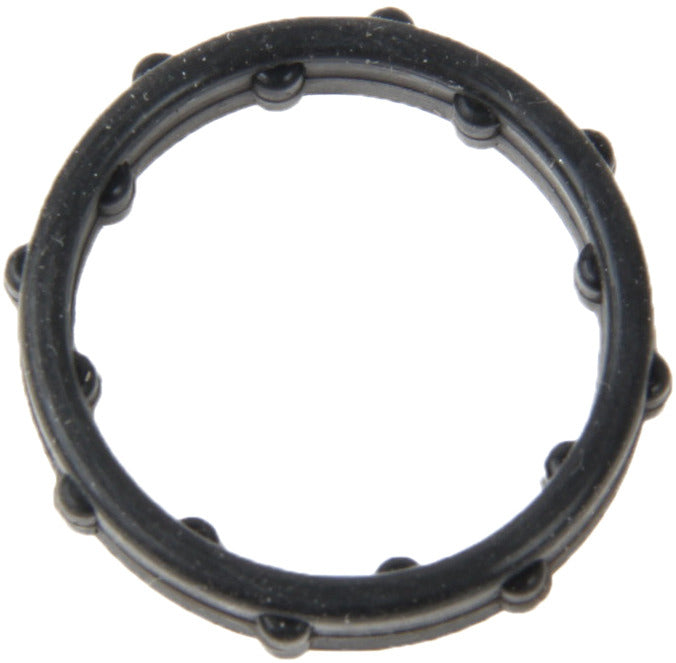 Reinz 70-39063-00