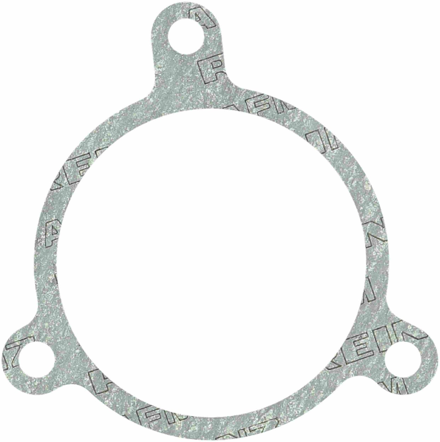 Reinz 71-24597-10