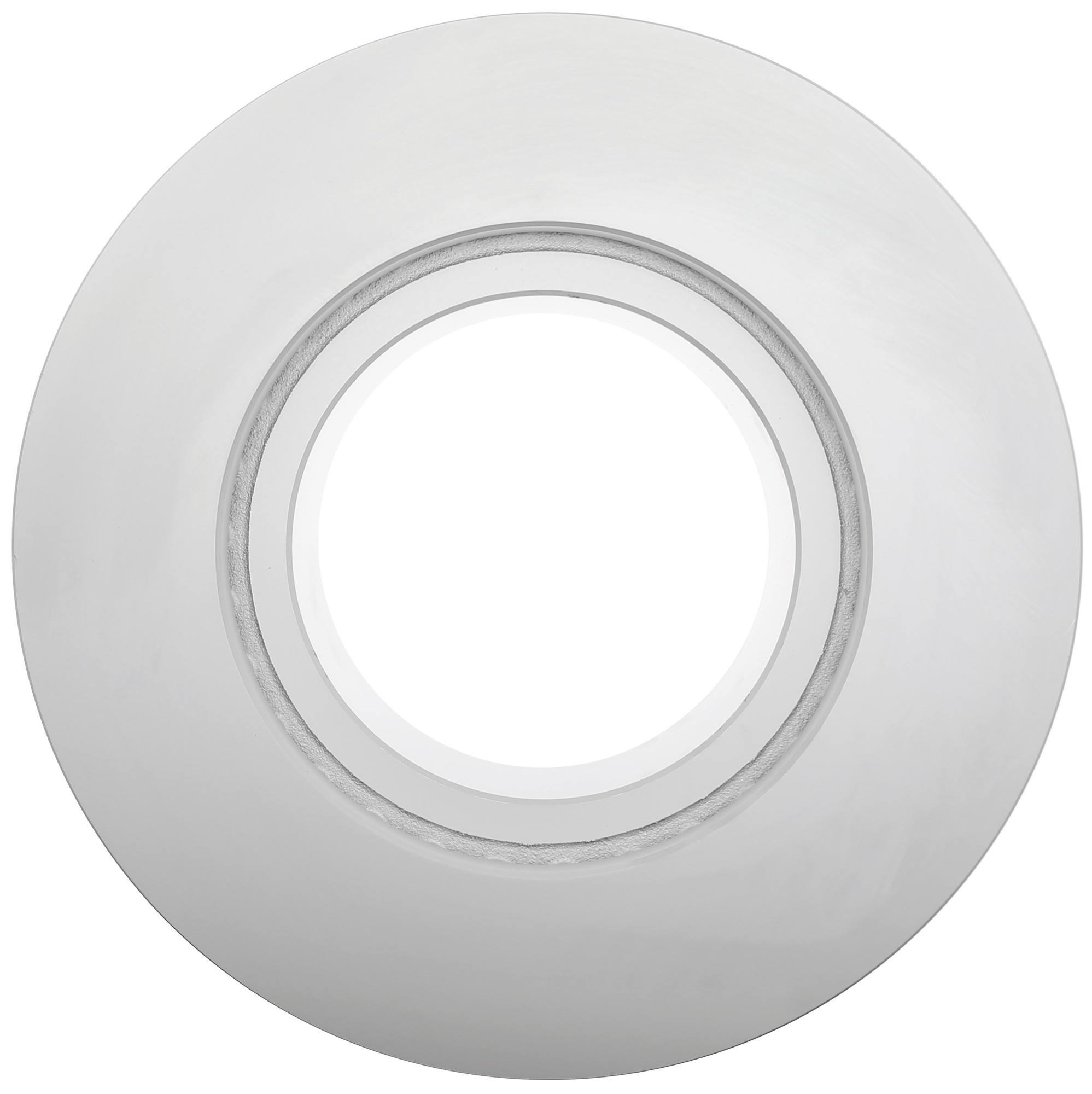 Raybestos Brakes Disc Brake Rotor 8575