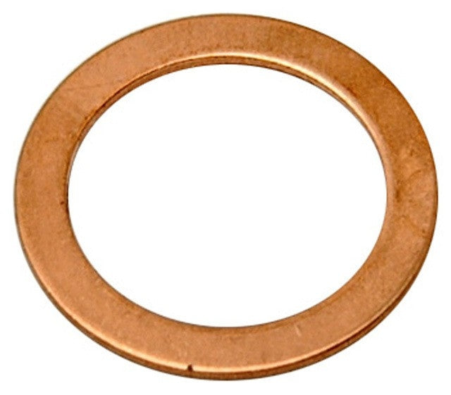 Raybestos Brakes Banjo Washer G1246