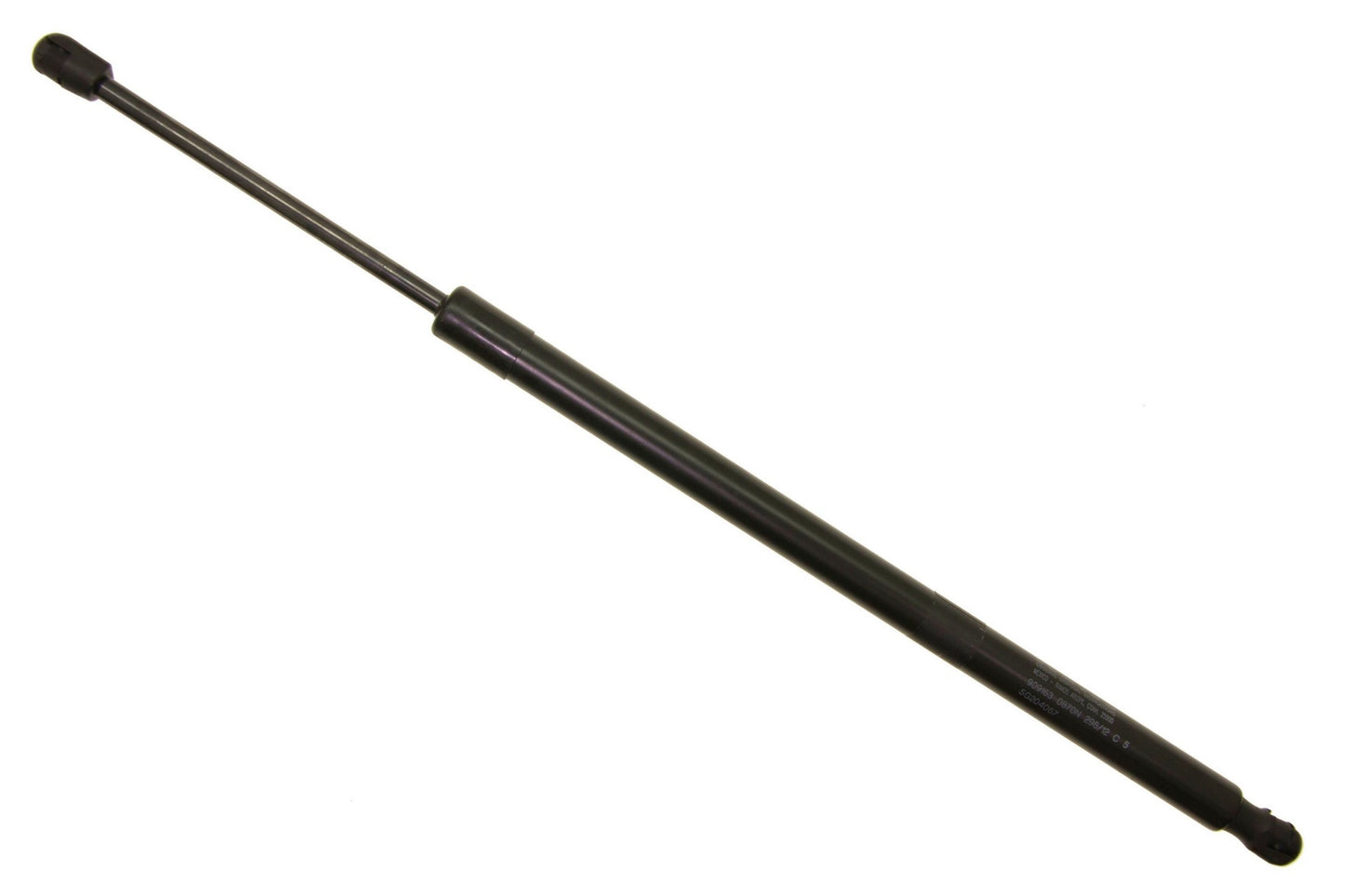 Sachs SG204067