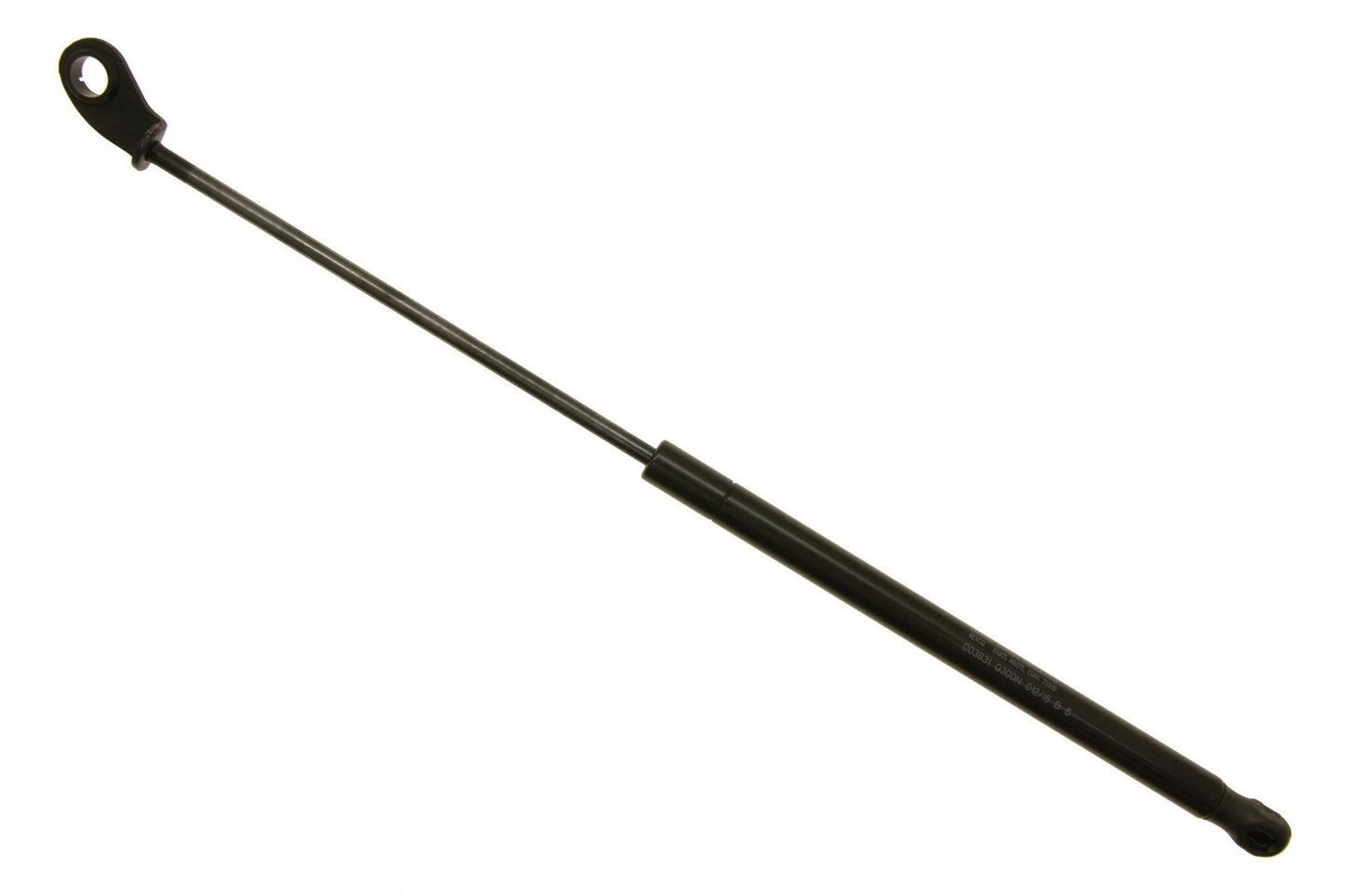 Sachs SG314029