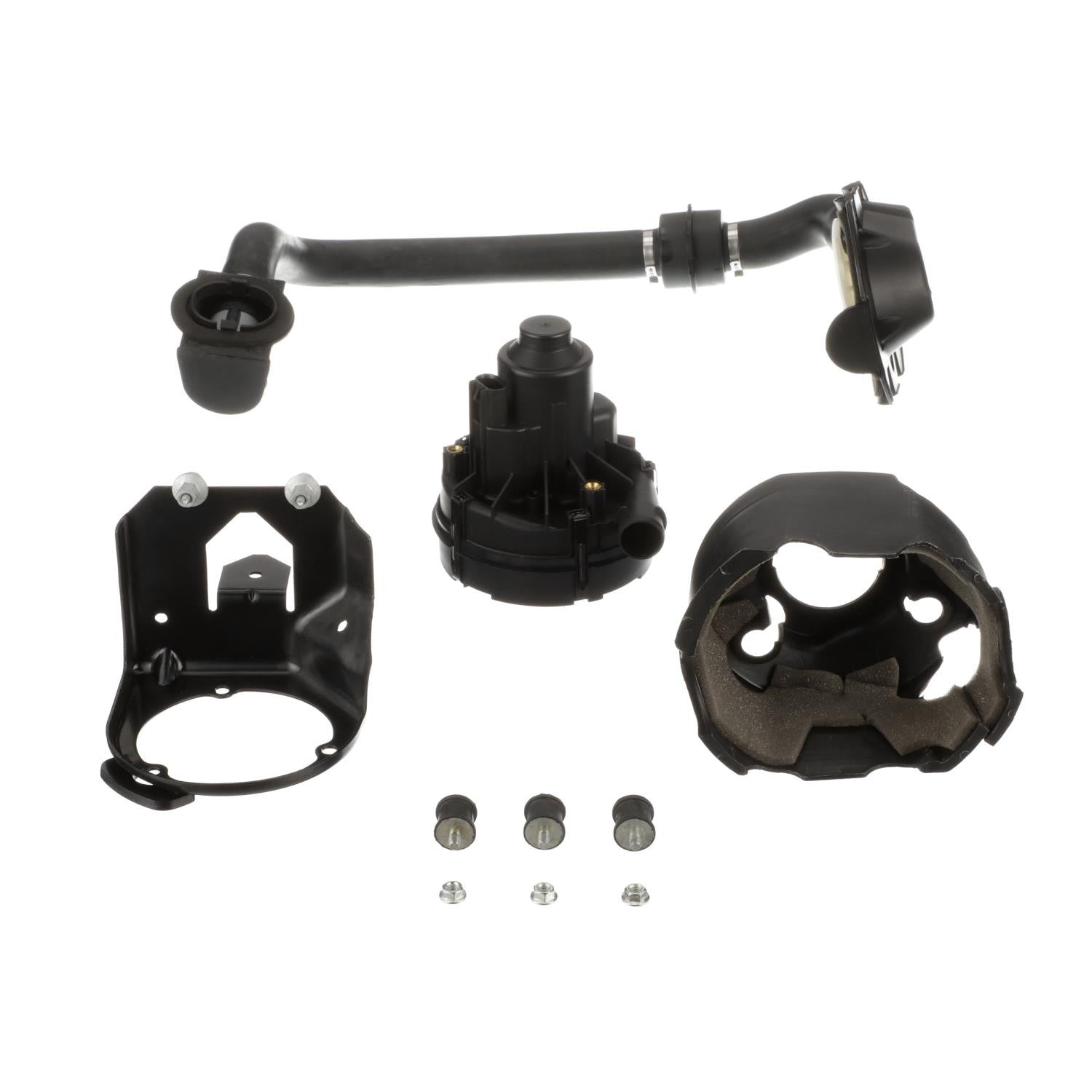 Standard Ignition Secondary Air Injection Pump AIP19